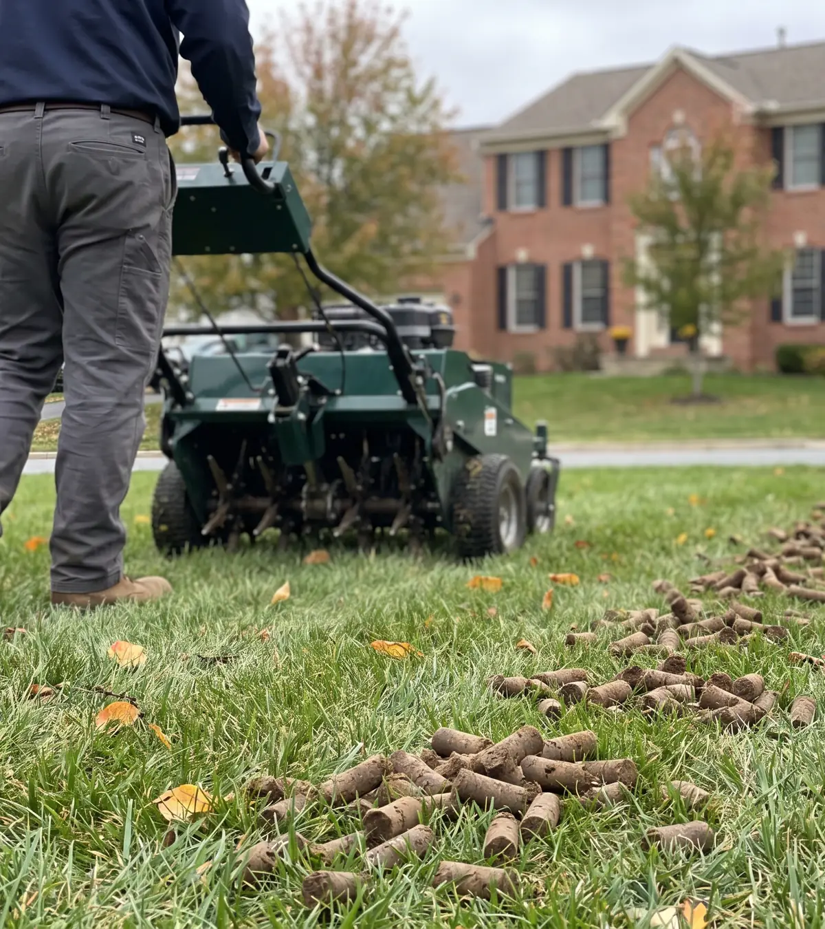 A walk-behind core aerator on a lawn in early autumn, with soil plugs on the grass behind it