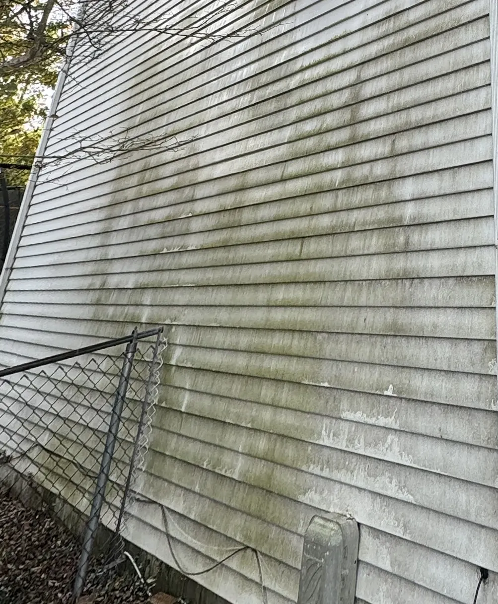 Green-stained white siding before cleaning