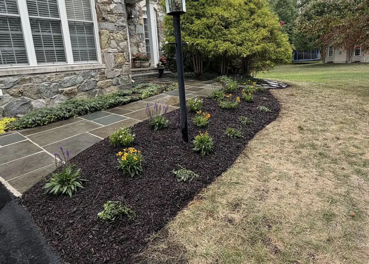 A front bed with dark mulch and new flowering plants round a lamp post