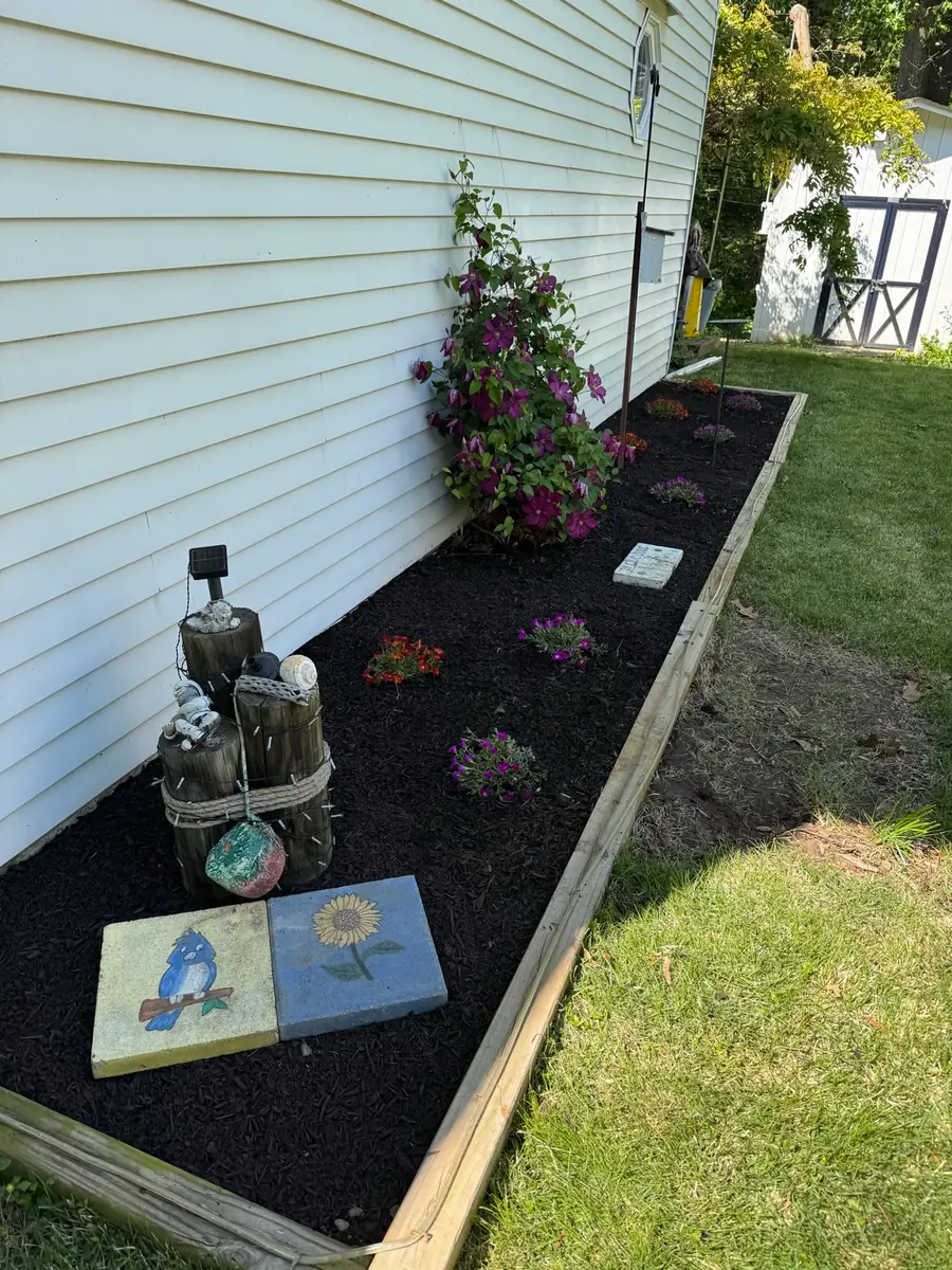 New plants and a climbing vine in bloom, set in dark mulch in a timber-edged bed along white siding