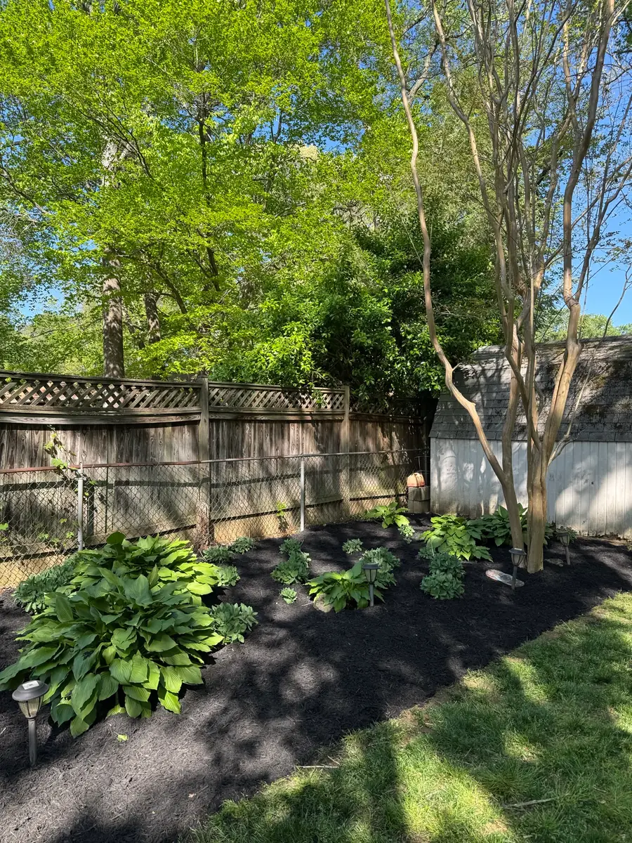 Hostas and small plants in fresh dark mulch along a wooden fence