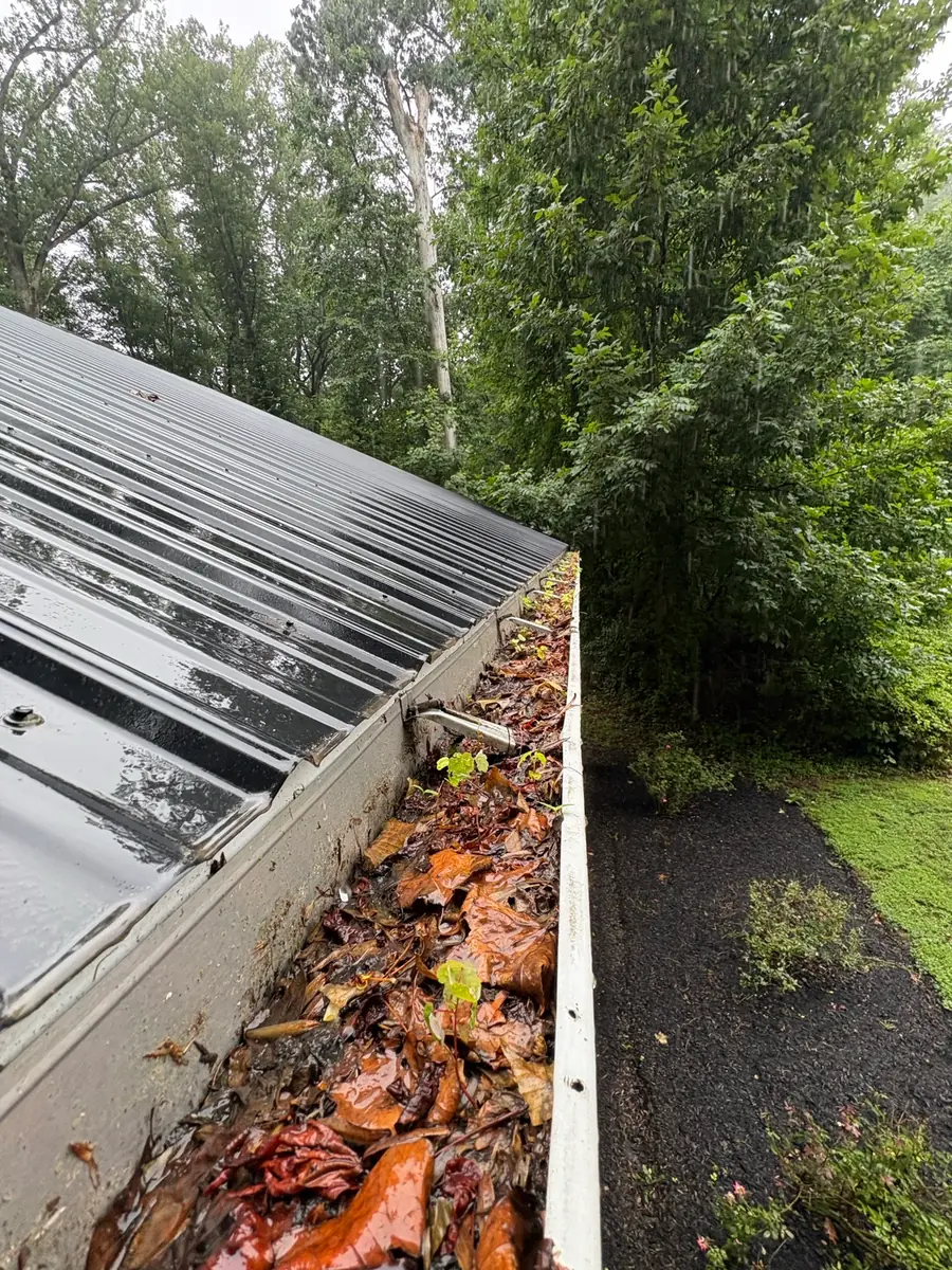 A gutter packed with wet leaves at the edge of a metal roof