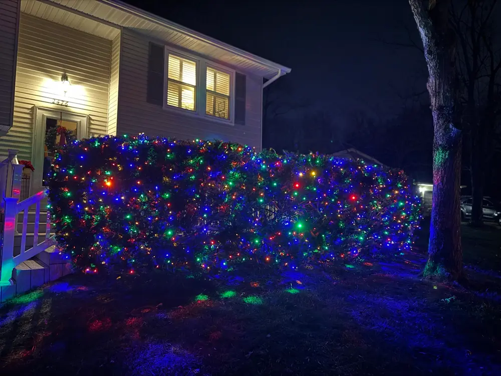 A hedge filled with multicolor lights