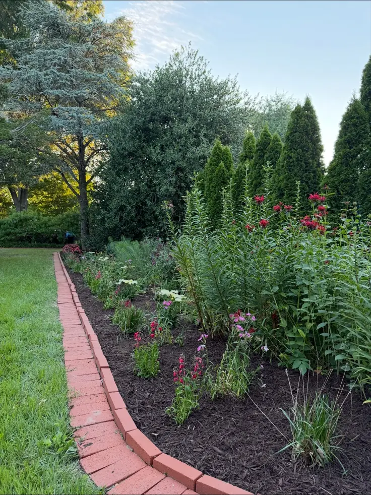 A brick-edged planting bed with red and pink flowers in dark mulch