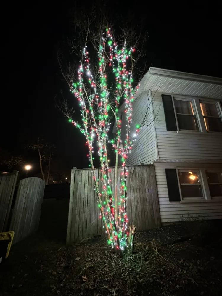 Red, green and white lights wrapped around a tree