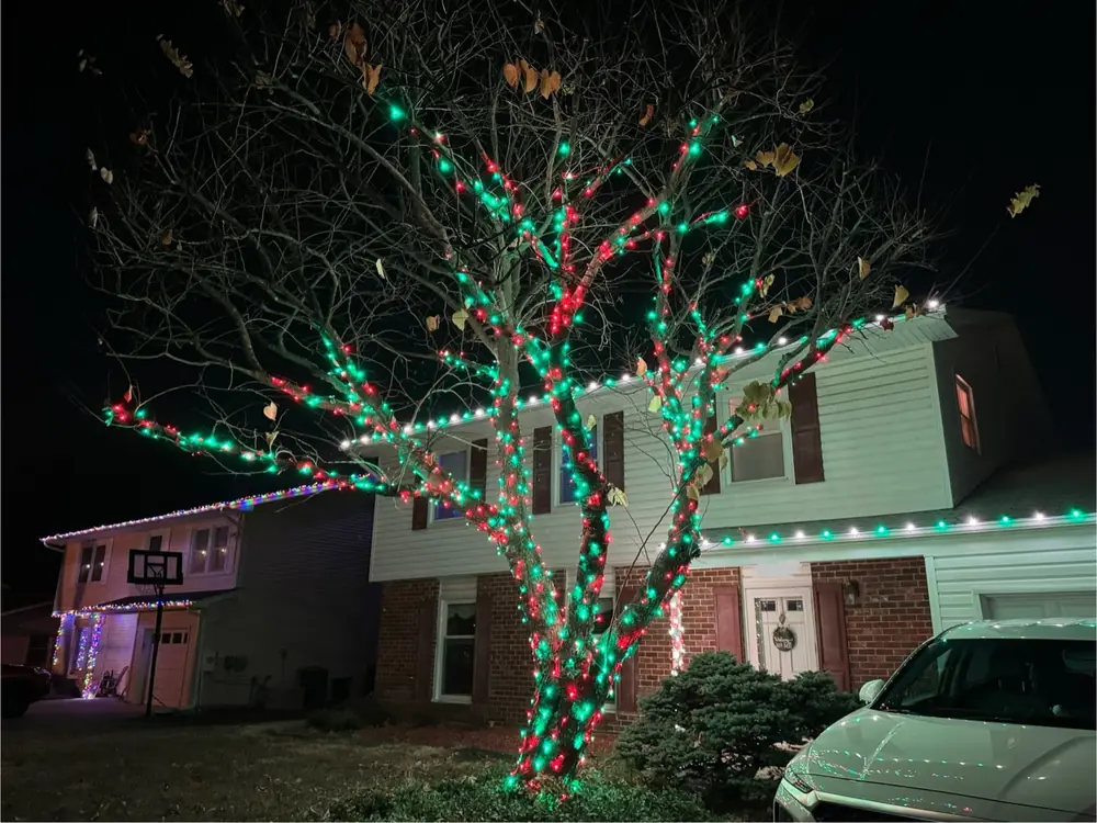 A lit tree canopy in red and green beside a house